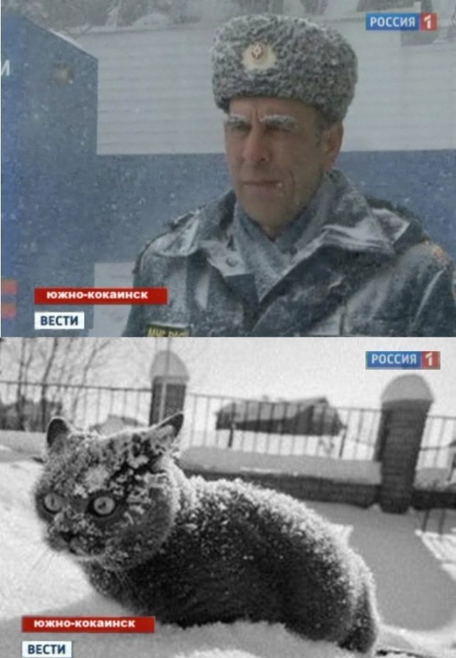 Василий Переводчиков | Санкт-Петербург