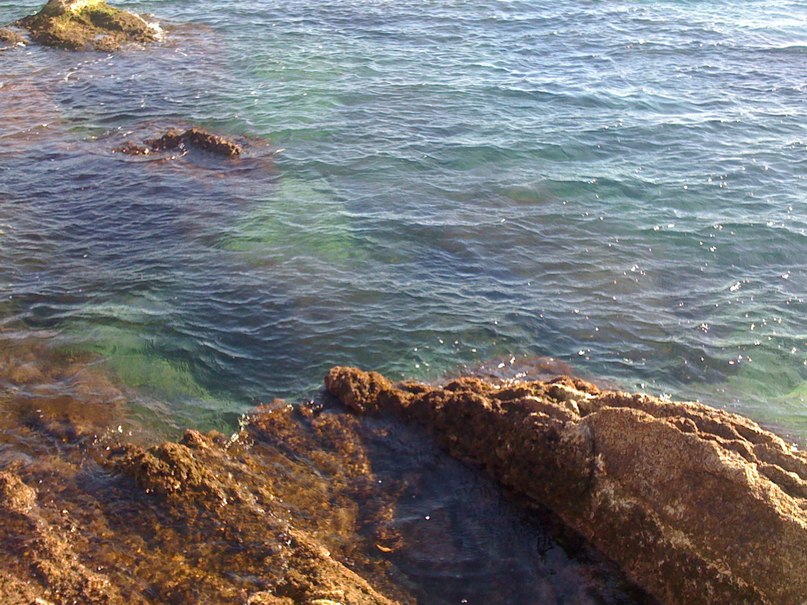 Лерочка Рылеева ˜”*°★☆★_ГоЛуБоГлаZzzАя_★☆★°°* | Москва