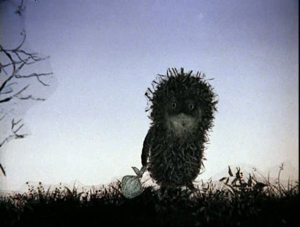 №15, Ксюша Ведерникова №15, Ксюша Ведерникова