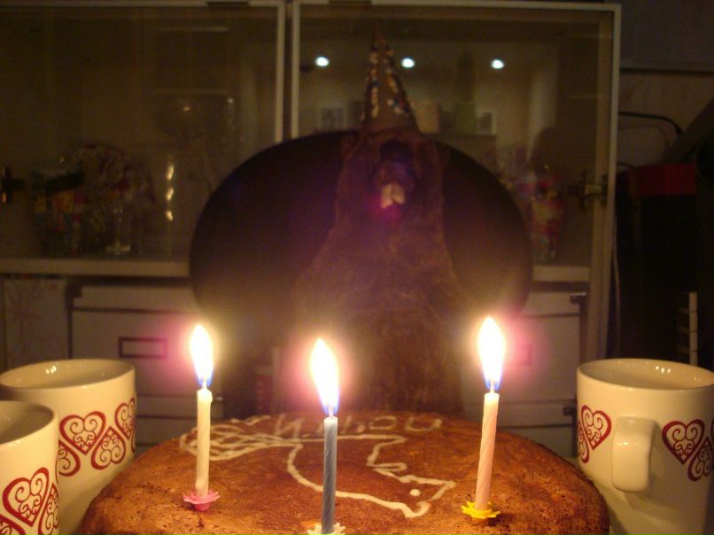 Klappar Baver | Санкт-Петербург