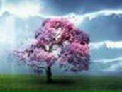 Вера Сугатова Владимировна | Орехов