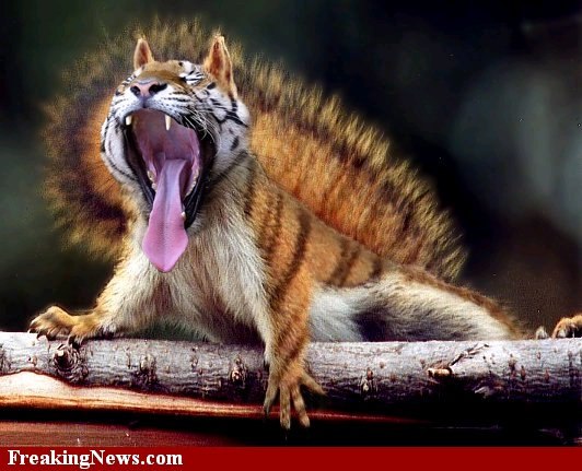 Макс Ветров | Уфа