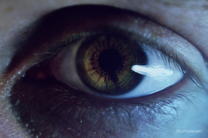 Константин Кац | Москва