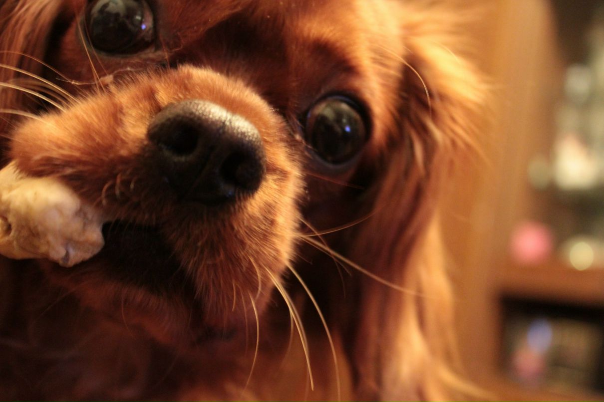 Евгения Сысоева | Москва