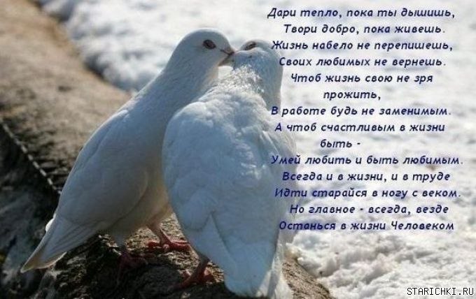 Ксюша Одорова | Санкт-Петербург