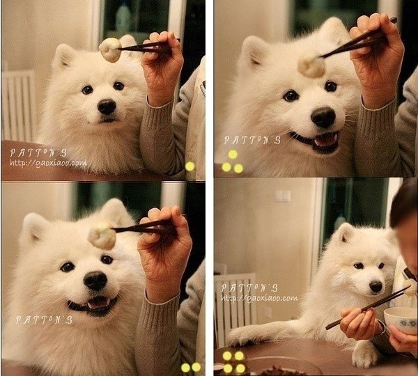 Кай Ли 日月永昭 | 