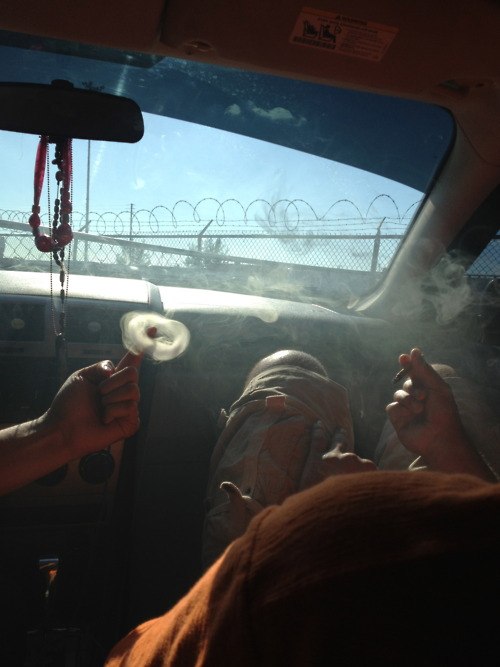 Эльза Гордон | 