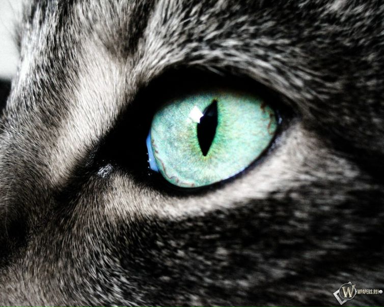 №65, Кирилл Фролов, Москва №65, Кирилл Фролов, Москва