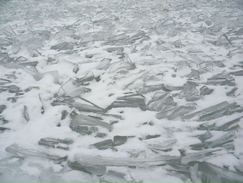 №11, Николай Жеребцов, 54 года, Белгород-Днестровский №11, Николай Жеребцов, 54 года, Белгород-Днестровский