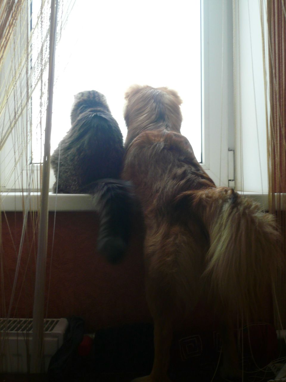 Михаил Калинин | Санкт-Петербург