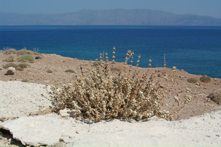 №134, Наталия Петрова, Санкт-Петербург, Россия №134, Наталия Петрова, Санкт-Петербург, Россия