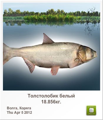 Иван Белозоров | Москва