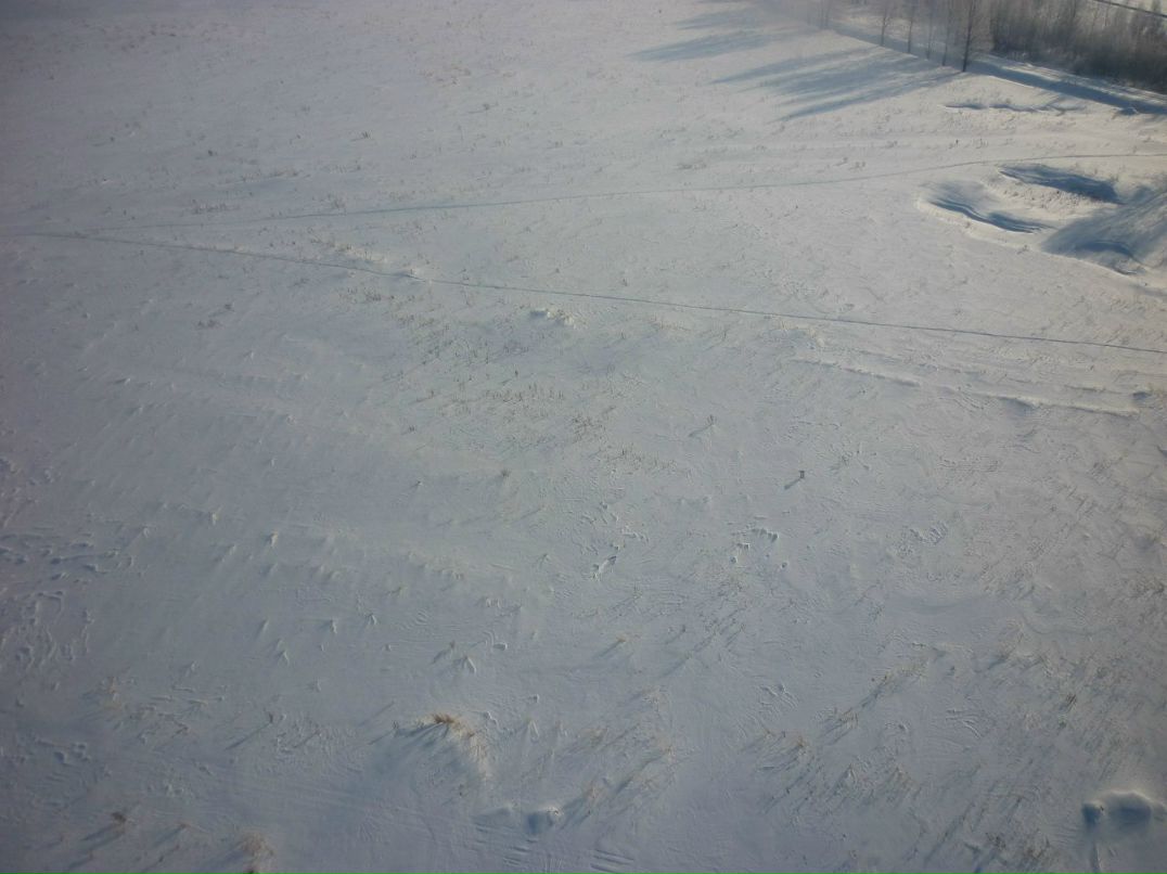 Максим Мишин | Москва