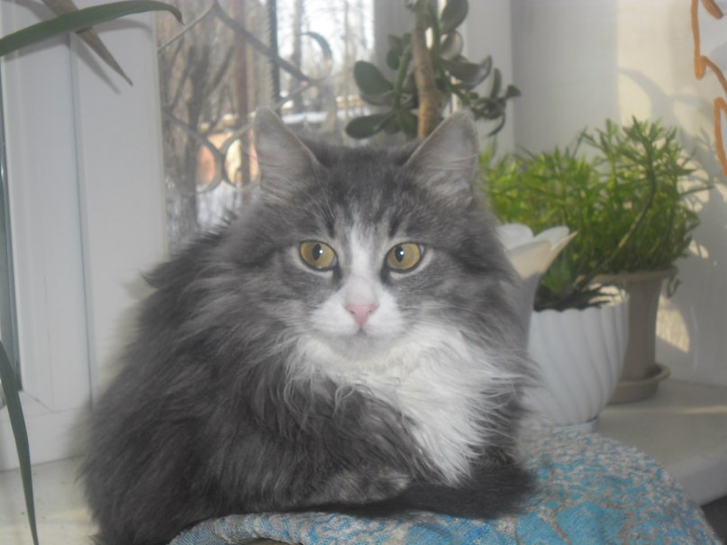 Сергей Бондаренко | Первомайск