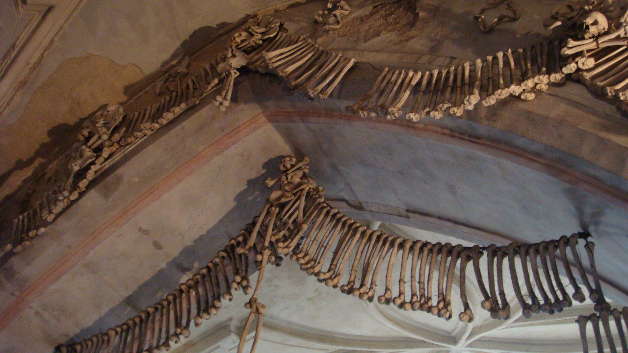 Лидия Чижикова | Санкт-Петербург