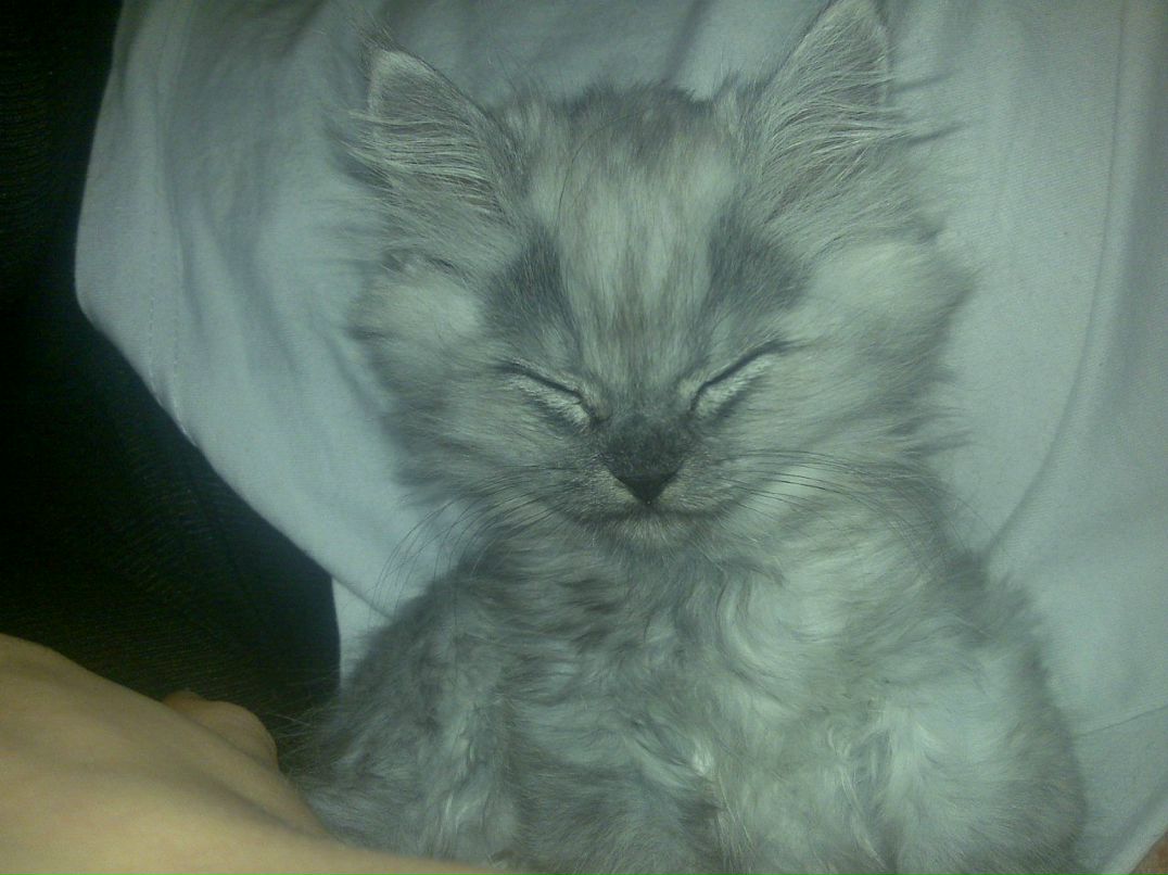 Сергей Кравченко | Сургут