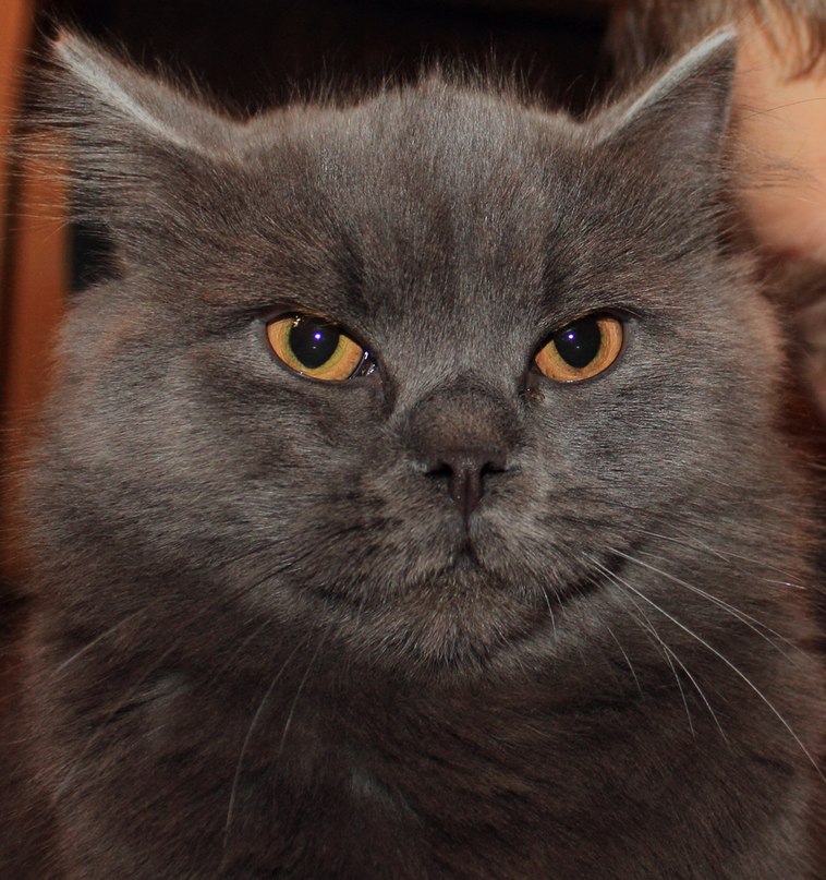 Светлана Таранина | Ухта