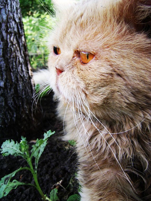 Павел Яковлев | Стерлитамак