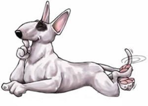 Алексей Дубровин | Ростов-на-Дону