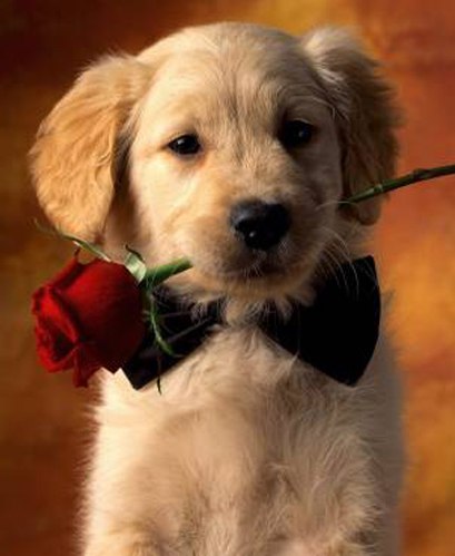 Серёга Мохов | Казахстан