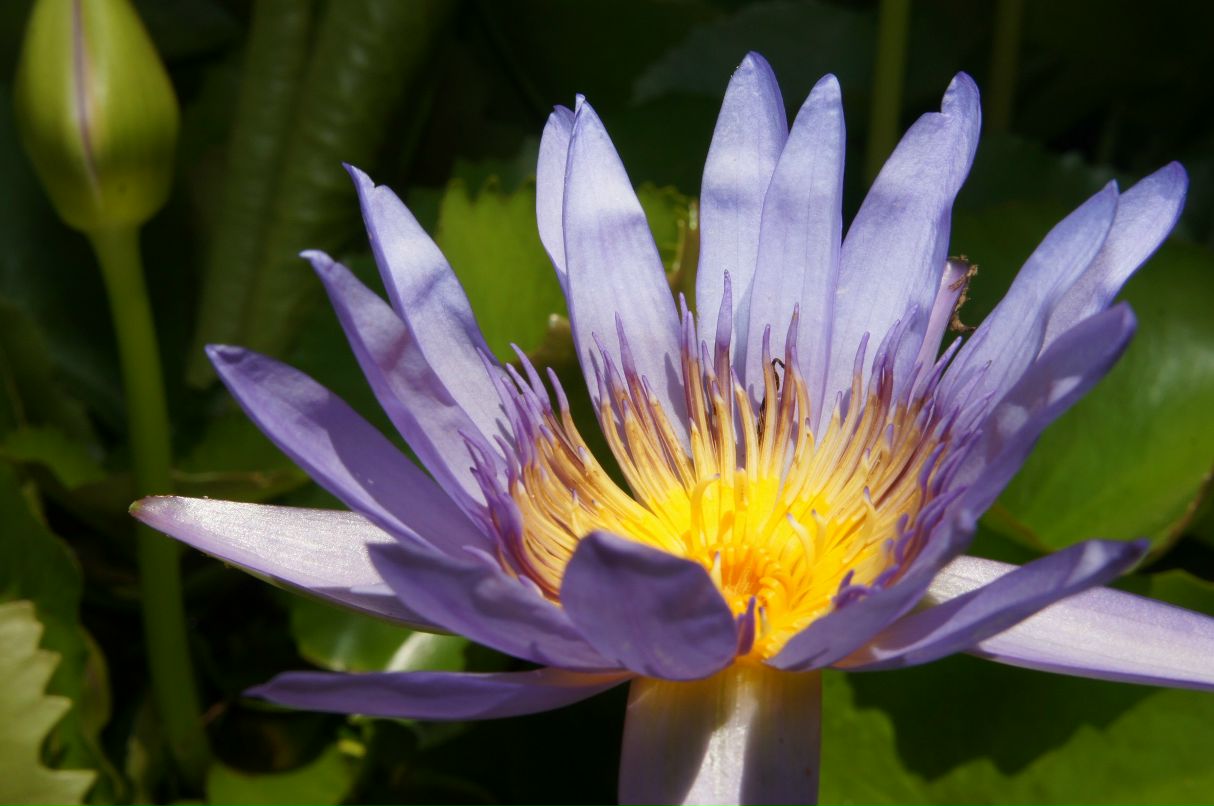 Наталья Малярова | Москва