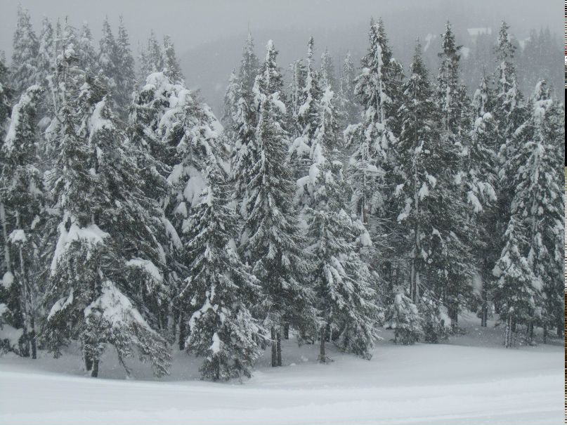 Елена Соловей | Москва