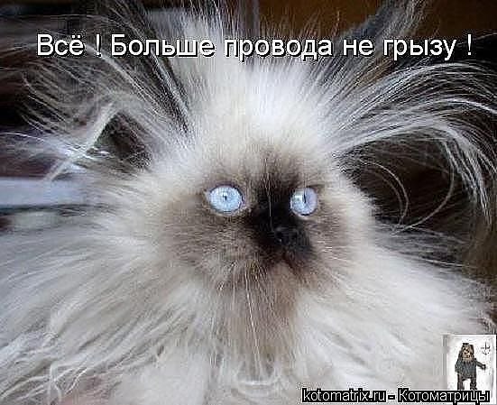 Оксана Климко | Тернополь