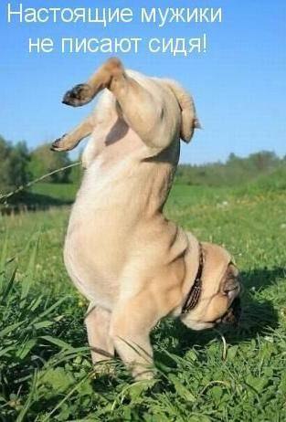 №23, Сергей Гырлин, Верхний Уфалей №23, Сергей Гырлин, Верхний Уфалей