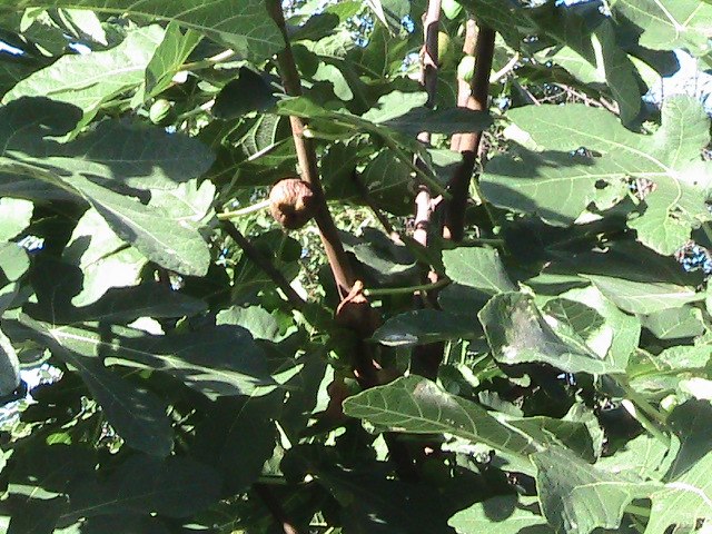 Павел Житков | Санкт-Петербург