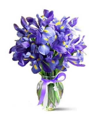 Ксения Гудовщикова | Санкт-Петербург