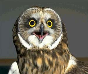 Игорь Мосин | Краснодар