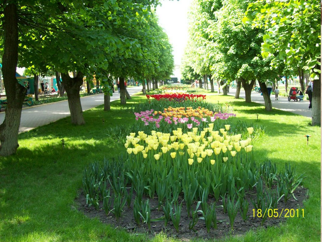 Янина Литвин | Кропивницкий / Кировоград