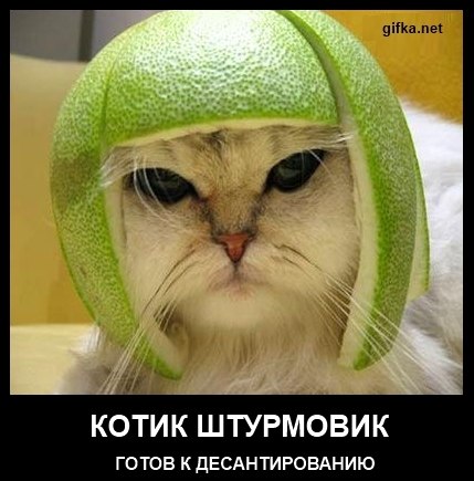 №6, Саша Омельченко, Киев №6, Саша Омельченко, Киев