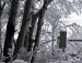 Вікуля Грінчук фотография #24 (источник - https://vk.com/id149542963)