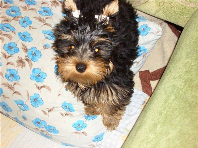 №14, Сергей Лопатюк, 50 лет, Санкт-Петербург №14, Сергей Лопатюк, 50 лет, Санкт-Петербург