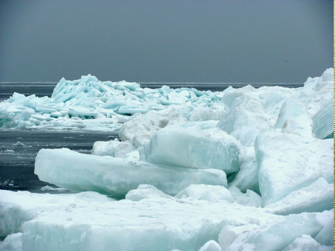 Альошка Іванков | Киев