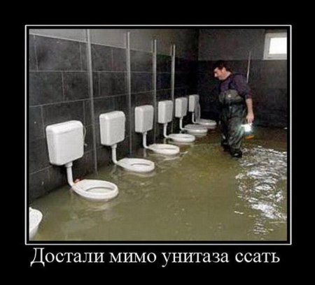 Евгений Лаппо (paukan) | Гатчина