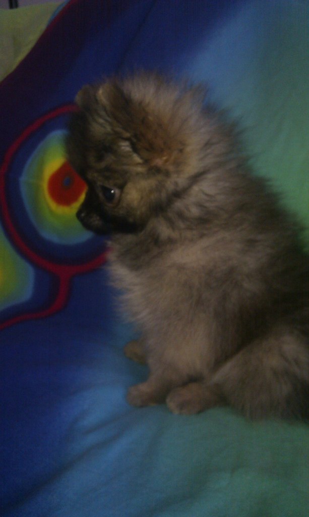 Алиса Парамохина | Москва