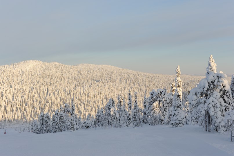 Вова Галайко | Москва