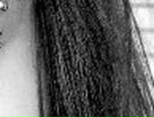 Алина Ярошенко | Новоукраинка