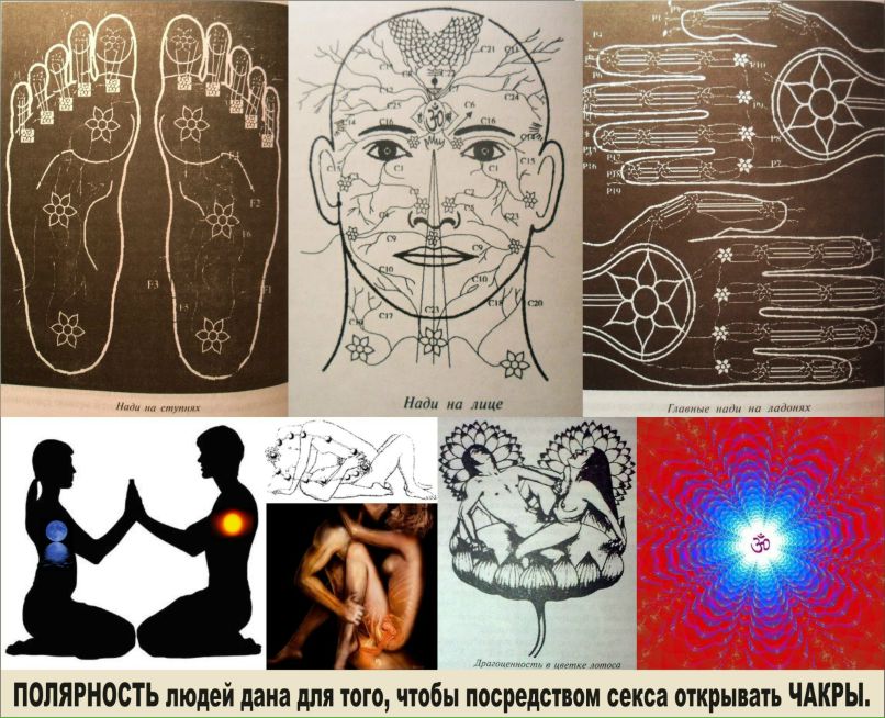 Вероника Каравашкина | Goa