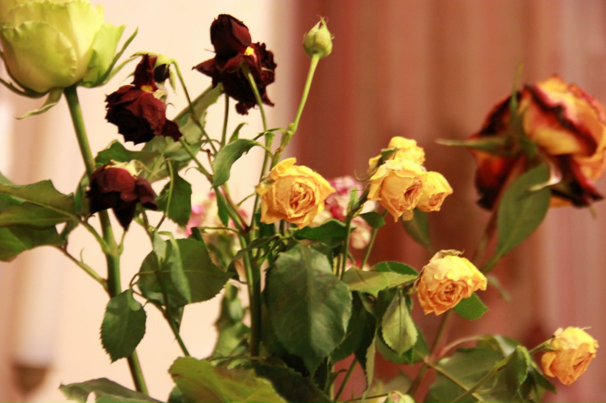 Марина Максимова _ | Липецк