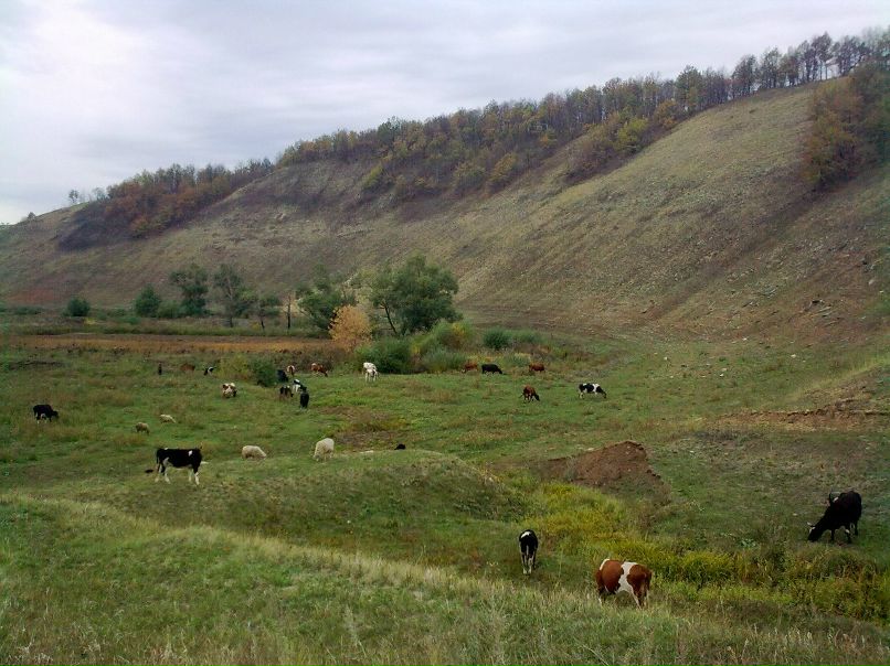 Татьяна Терехова | Альметьевск