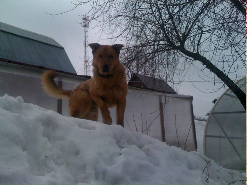 Дмитрий Кубраков | Москва