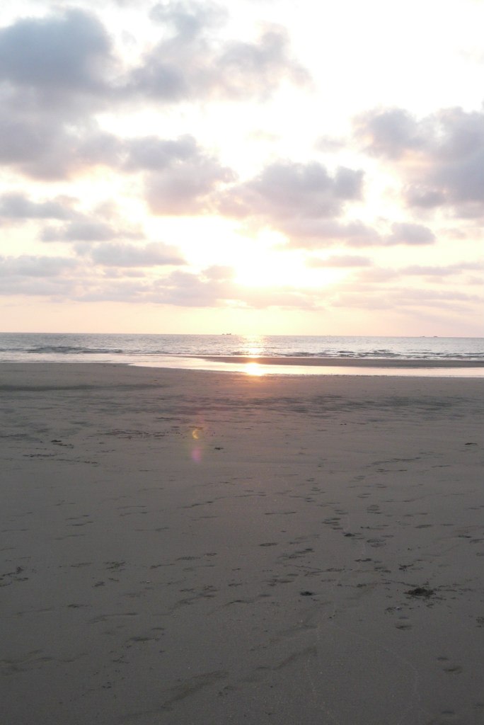 Сергей Епишев Myxomatosis | Щекино