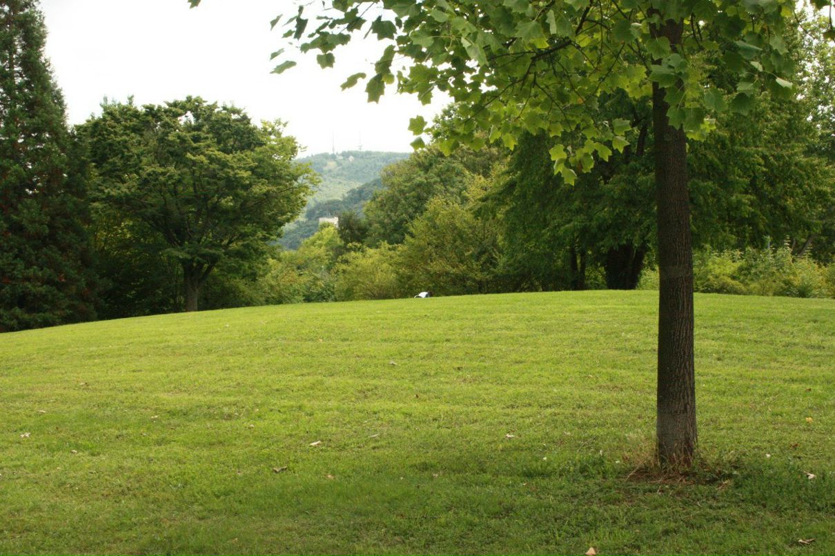 Юлия Грассхофф | Berlin