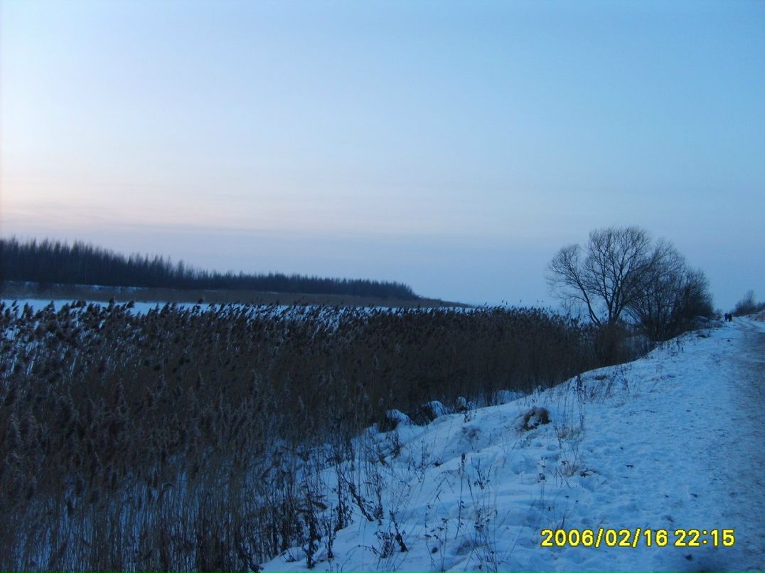 Валентина Сучилова | Санкт-Петербург