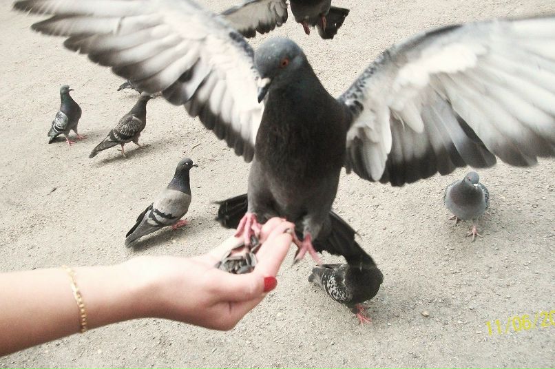 Маша Шарапова | Санкт-Петербург