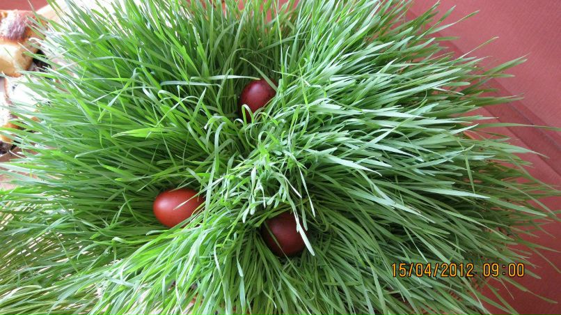 Раиса Филатова | Курган