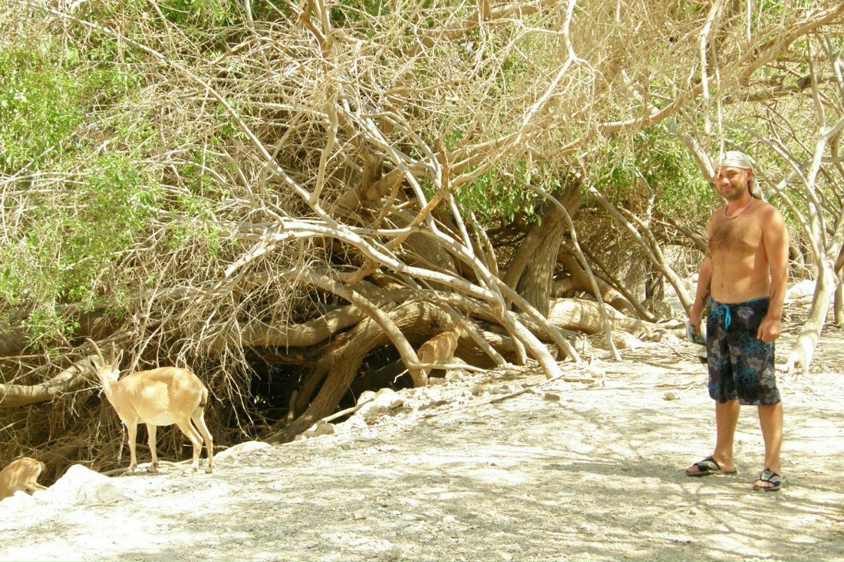 Dima Krok | Тель-Авив